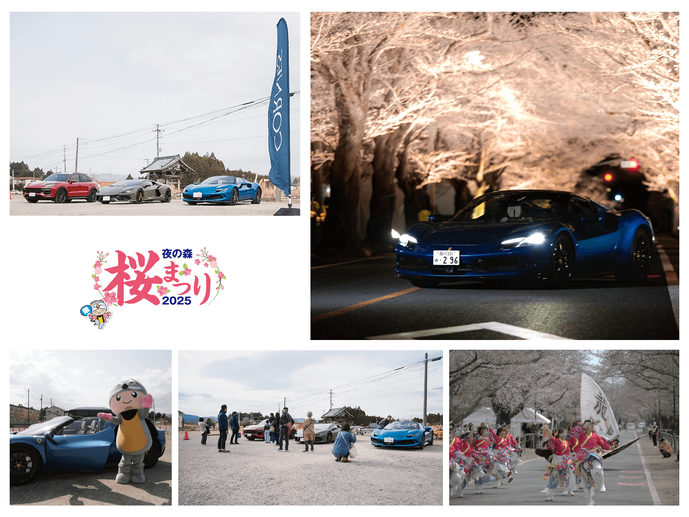 富岡町 ｜ 夜の森 桜まつり 2025