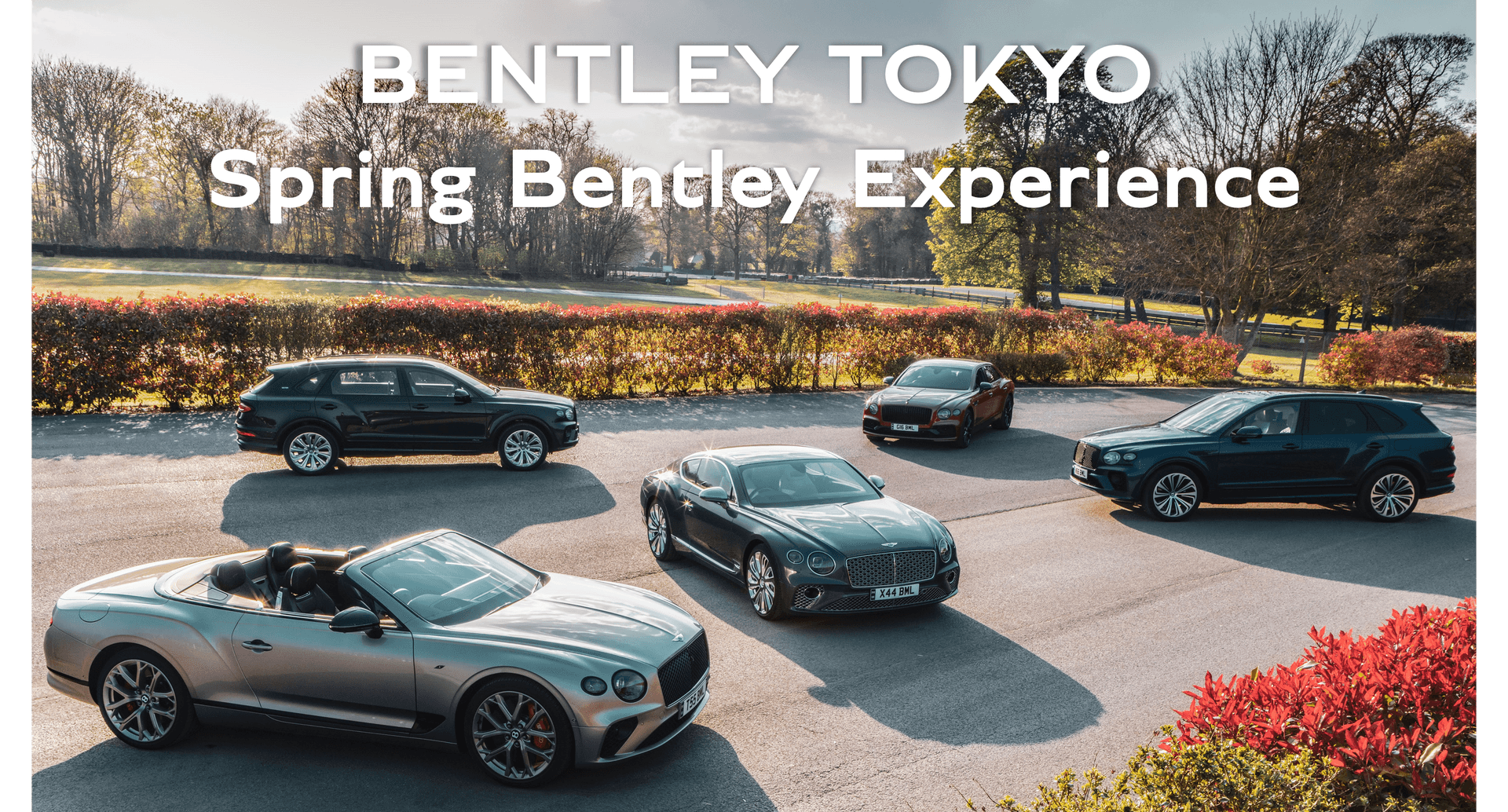 ベントレー東京 | スプリングフェア<br>Spring Bentley Experience
