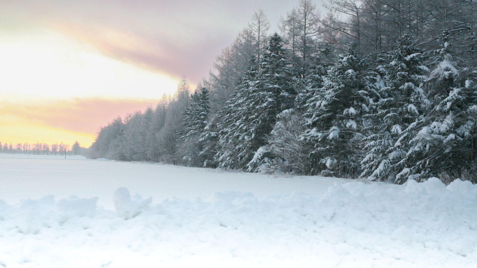 イベントリポート】 CORNES Driving Experience｜SNOW in